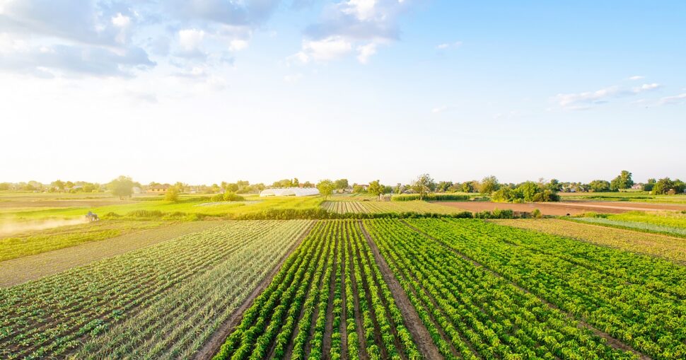 Landwirtschaftliche Felder unter blauem Himmel mit einem Traktor links im Hintergrund.