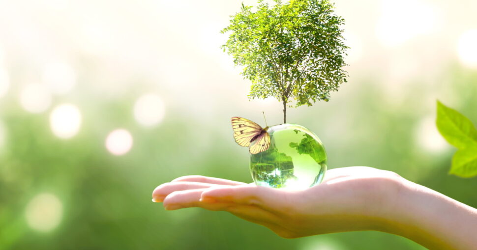 Hand hält eine kleine grüne Weltkugel mit Baum und Schmetterling. Hintergrund unscharf mit Naturthema.
